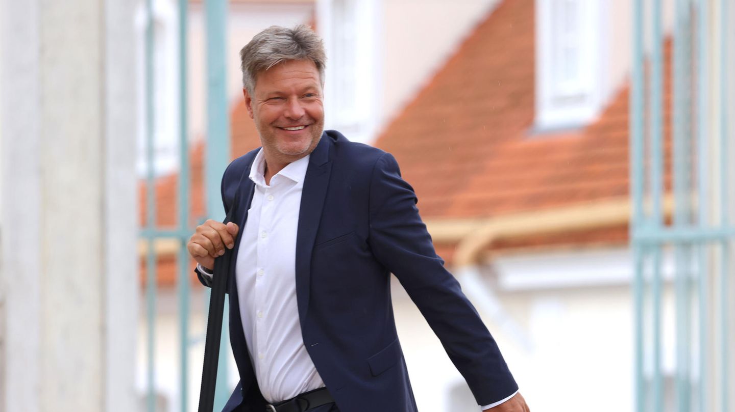Robert Habeck: Seltenheit! Ehefrau Andrea plaudert Ehe-Details aus ...