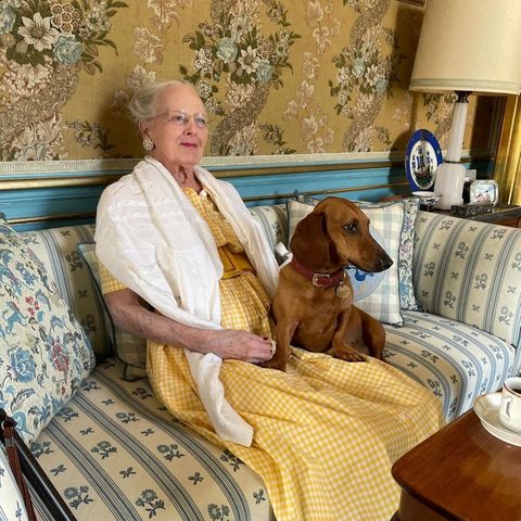 Während ihr Sohn und ihre Enkel beim Royal Run schwitzen, hat es sich die ehemalige Königin Margrethe mit ihrem geliebten Dackeln auf dem Sofa auf Schloss Fredenborg gemütlich gemacht.