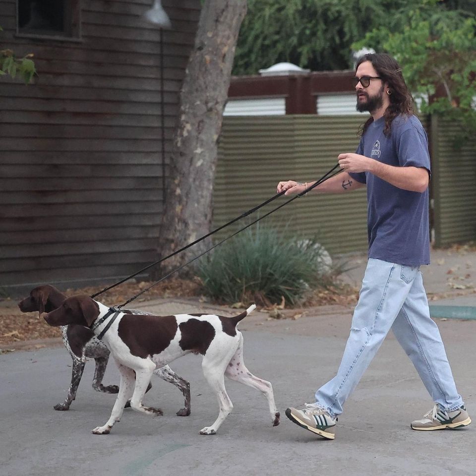 Während Toms Frau Heidi Klum in Europa unterwegs ist, kümmert sich Ehemann Kaulitz um die Hunde. Ein kleiner Spaziergang durch Los Angeles tut sowohl dem Hunde-Papa als auch seinen Vierbeinern gut. 