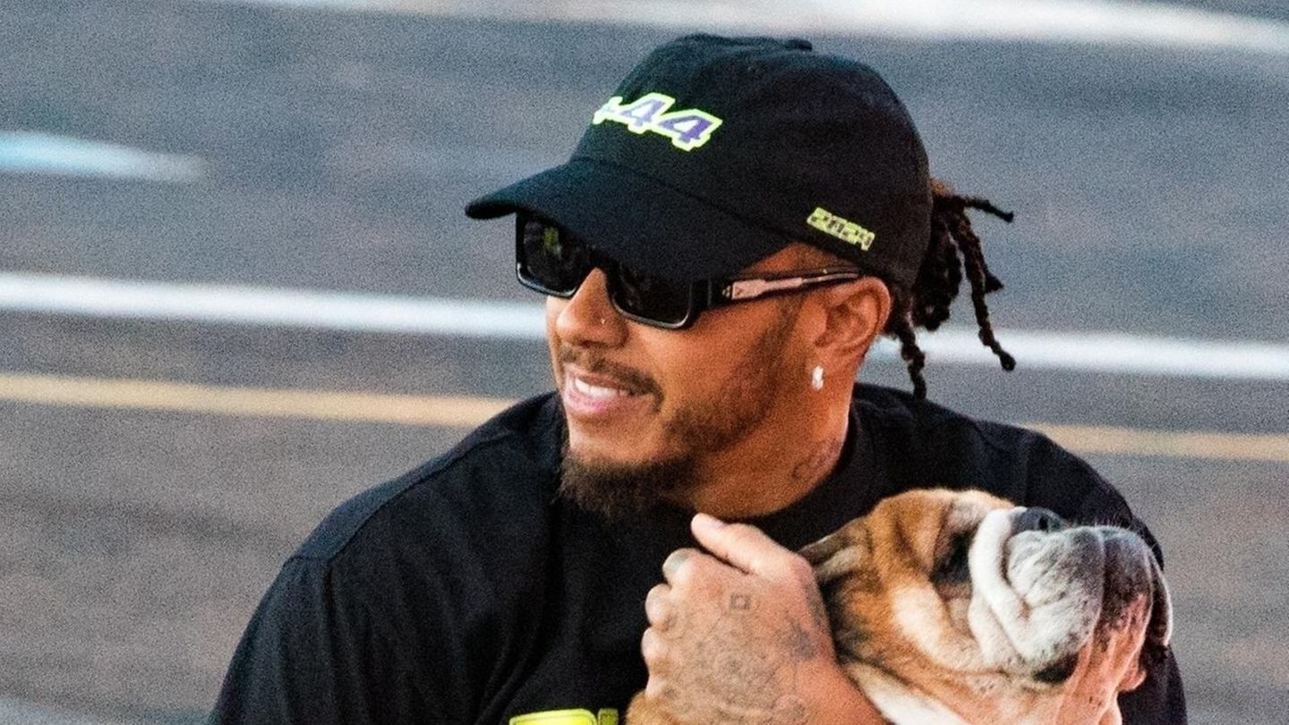 Hollywuff: Lewis Hamiltons Bulldogge ist sogar im Heli mit dabei