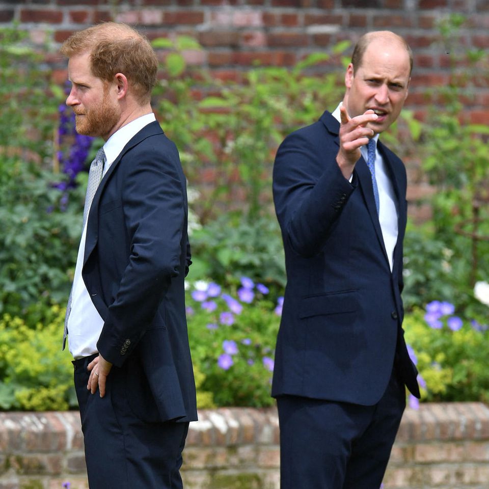 Prinz Harry und Prinz William