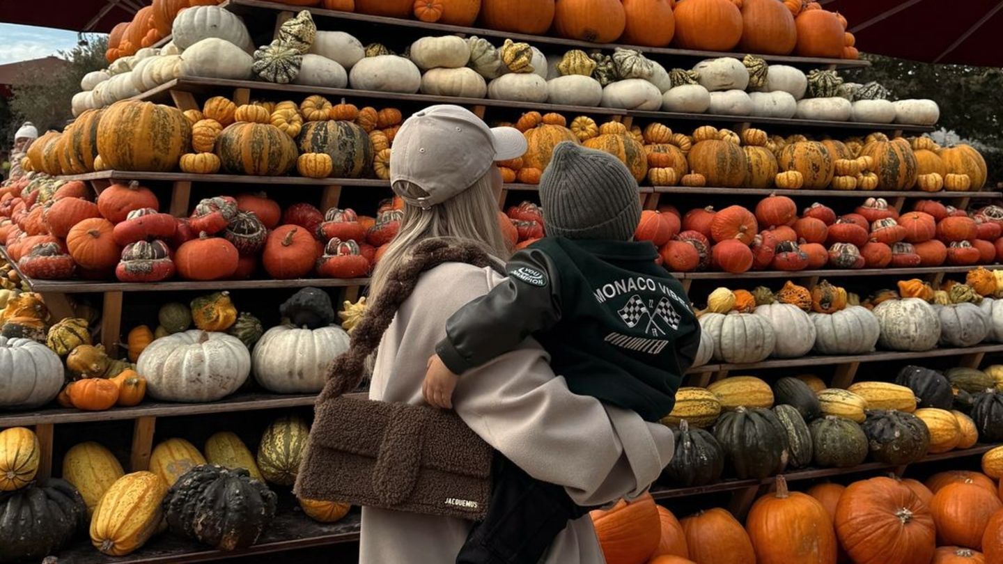 Kürbisse + Spinnweben: Für wen beginnt hier die "spooky season"?