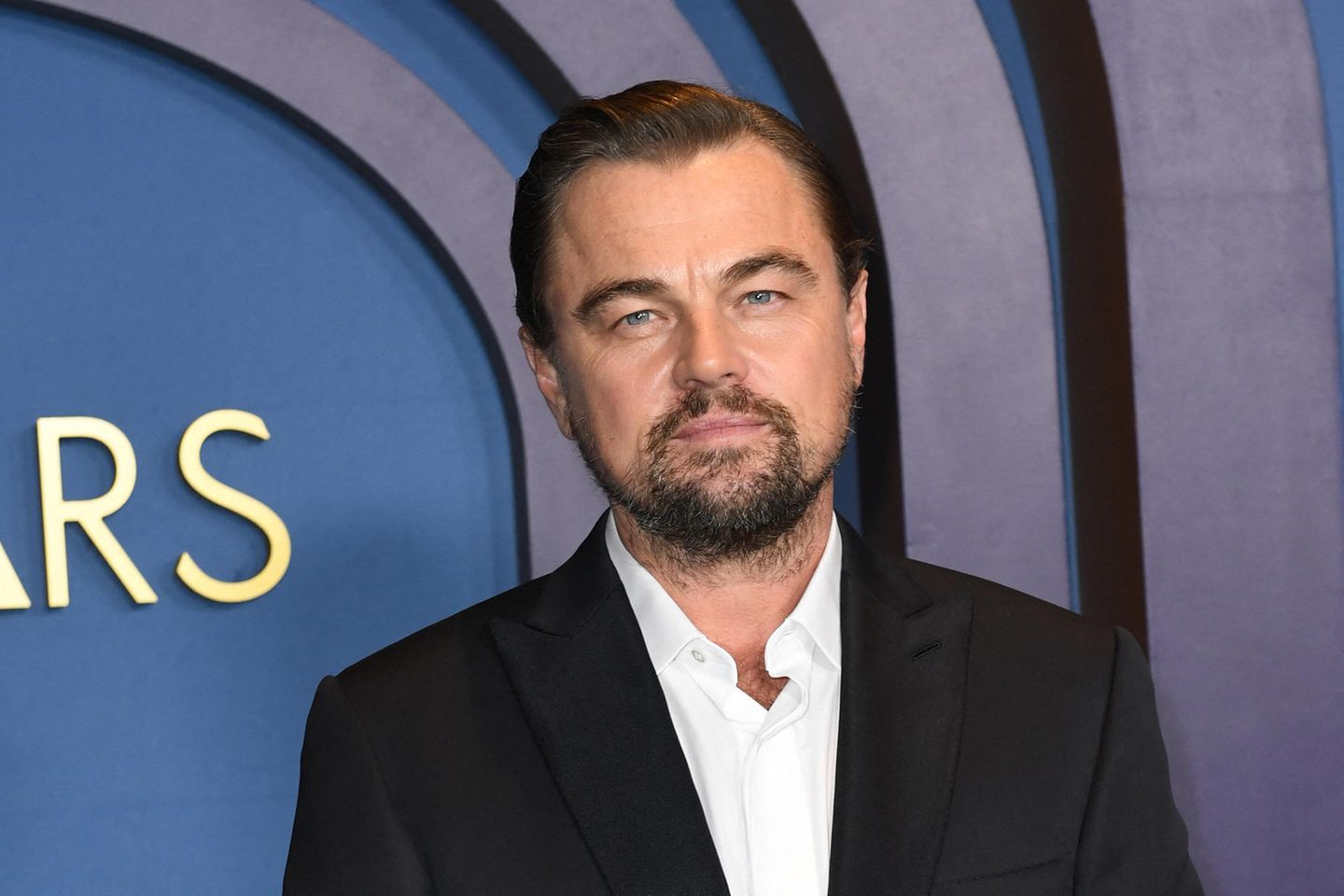 Leonardo DiCaprio: Nach 20 Jahren ist sein Luxusanwesen endlich fertig |  GALA.de