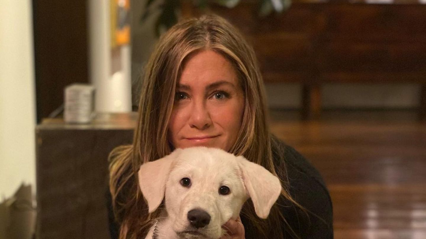 Jennifer Aniston: Private Fotos von ihrem "Friendsgiving" veröffentlicht