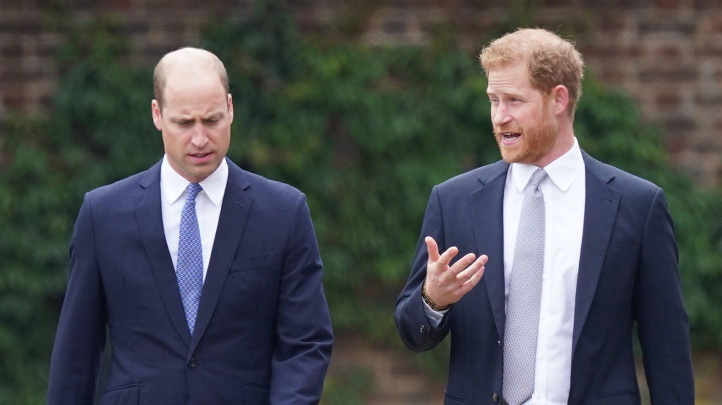 Prinz William + Prinz Harry: William und Harry ignorieren sich erneut beim Diana Award