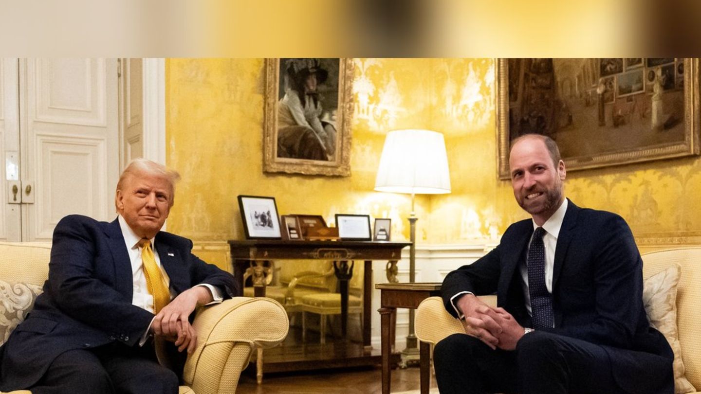 prinz-william-und-donald-trump-so-lief-ihr-treffen-in-paris