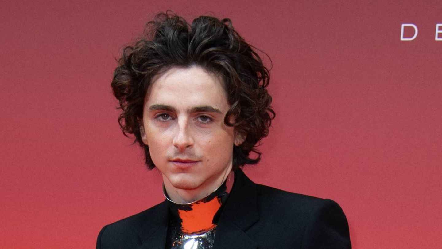 Timothée Chalamet: Bizarrer Livestream verwirrt Fans