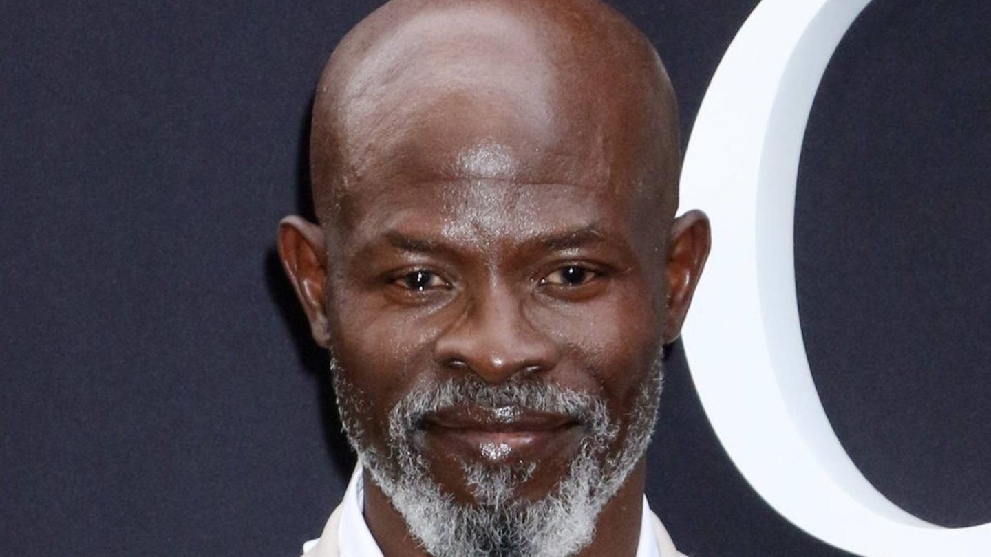 "Bin definitiv unterbezahlt": Djimon Hounsou zu Rassismus in Hollywood