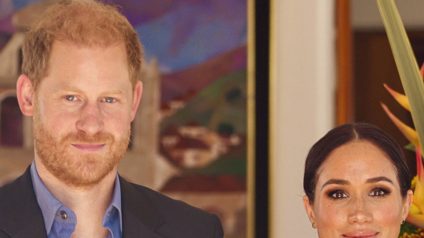 harry-und-meghan-kritik-an-ihrer-hilfe-f-r-sie-beleidigend