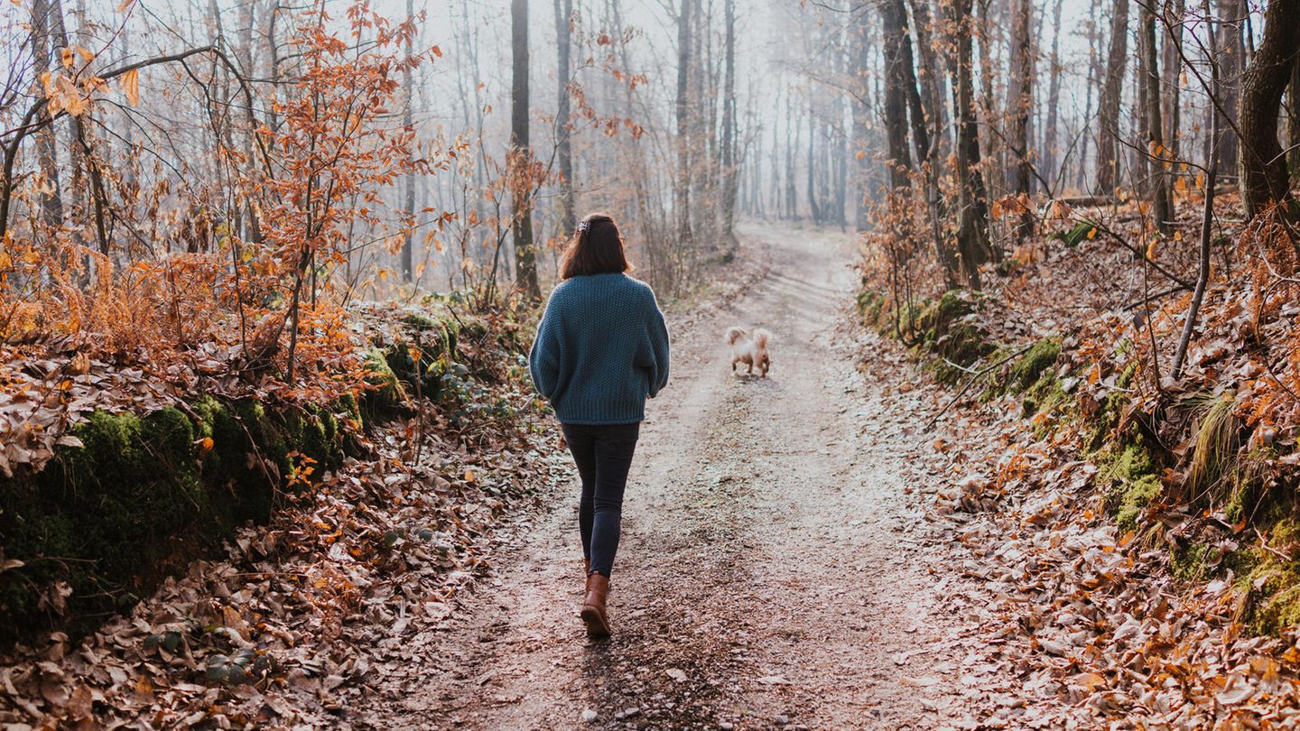 Mehr Bewegung im Alltag: 5 Vorteile, die ein täglicher Spaziergang mit sich bringt