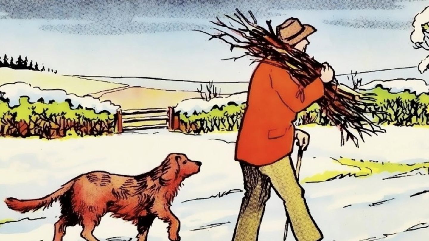 Intelligenz-Test: Jeder sieht den süßen Hund – doch kaum jemand auch den Fehler