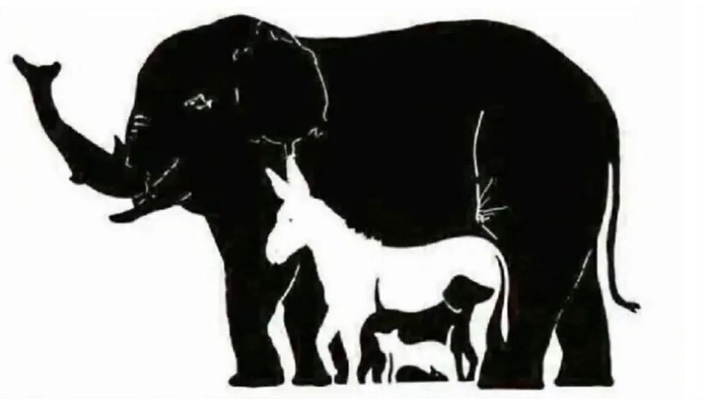 Persönlichkeitstest: Wie viele Tiere Sie finden, offenbart Ihr mentales Alter