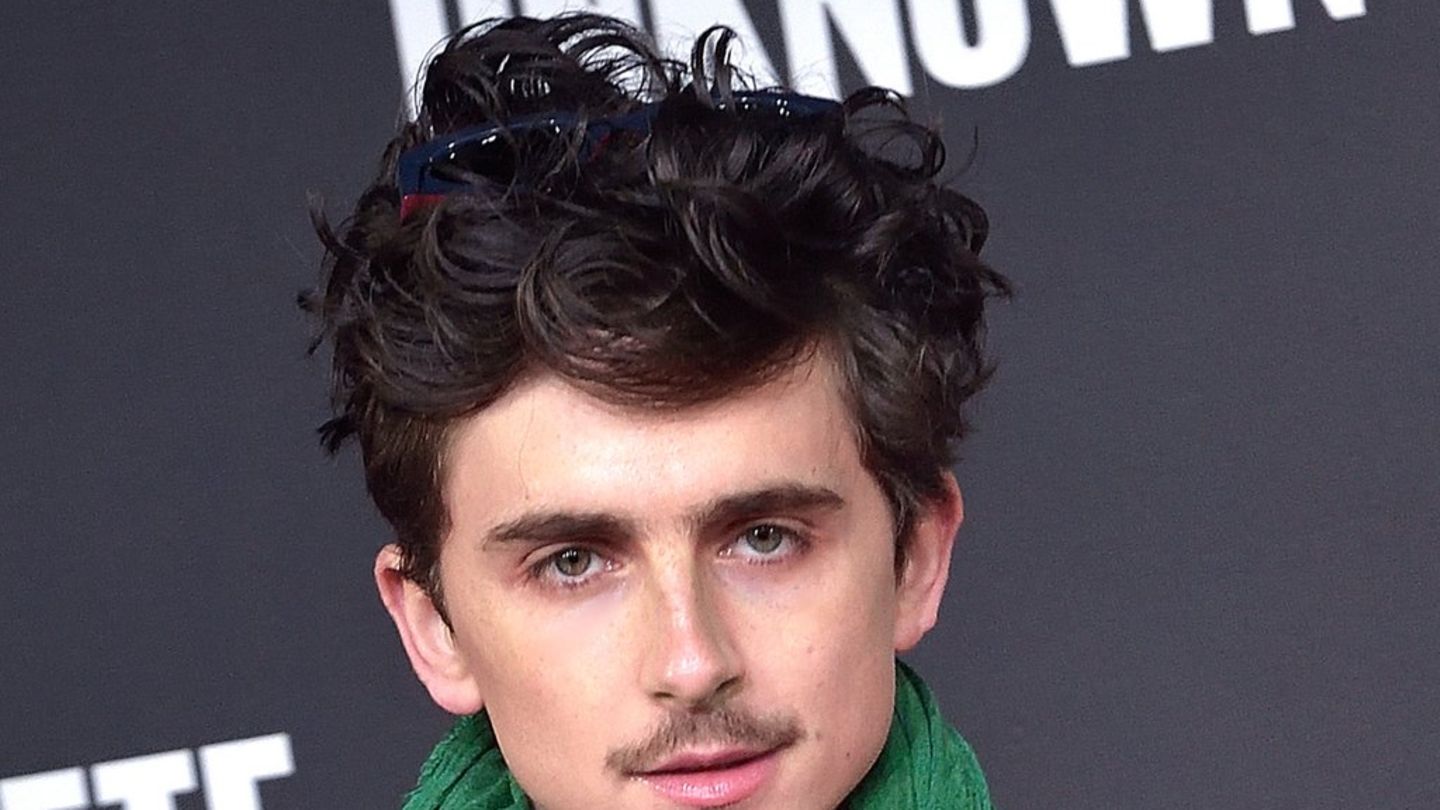 Highlights der Berlinale 2025: Schauspielstar Timothée Chalamet ist dabei