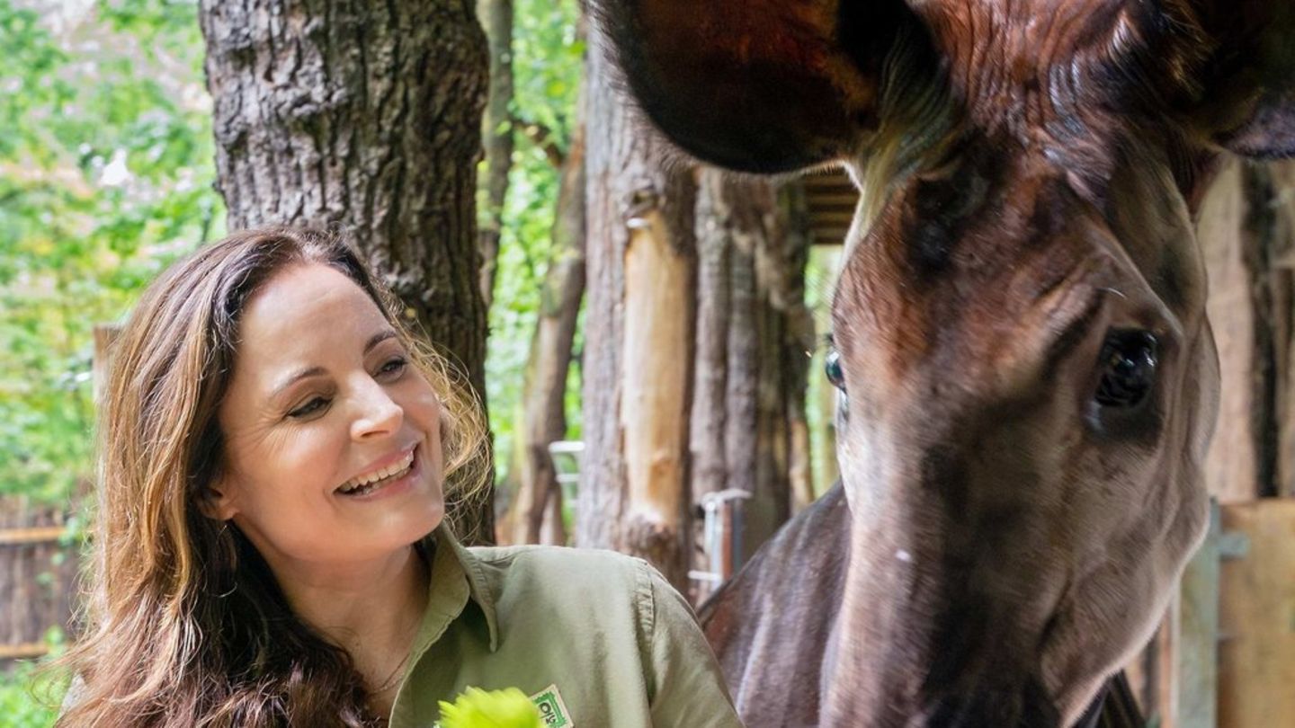 "Tierärztin Dr. Mertens": 13 neue Folgen kommen im März