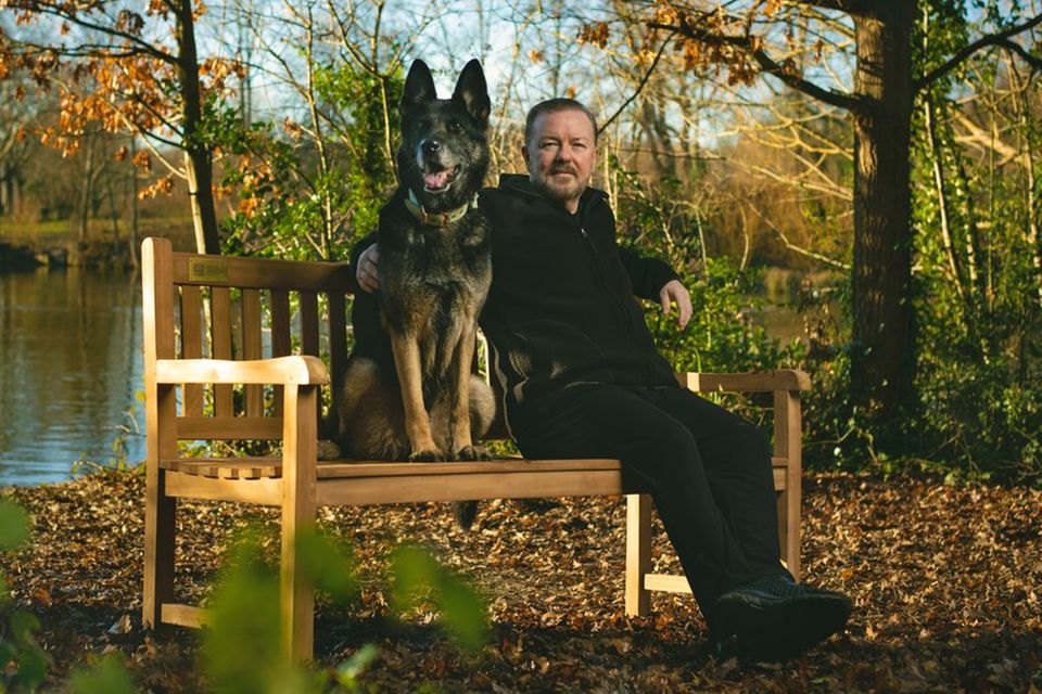 Ricky Gervais: &amp;quot;After Life&amp;quot;-Hündin stirbt mit 13 Jahren | GALA.de