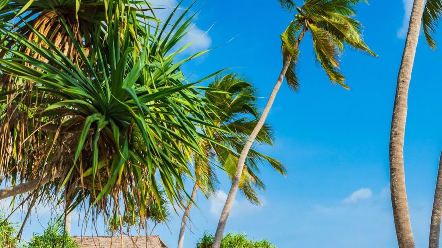 Genug von kaltem Wetter?: Fünf traumhafte Reiseziele im Februar