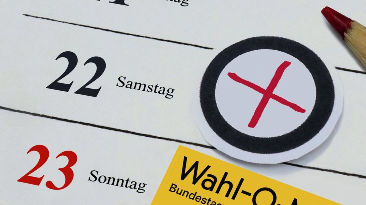 Wahltools für die Bundestagswahl 2025: Diese Optionen gibt es