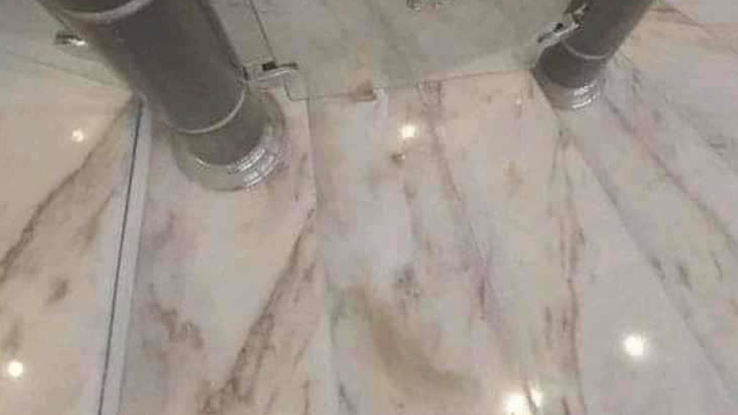 Suchbild: Die Marmortreppe fällt ins Auge doch kaum jemand entdeckt die Katze