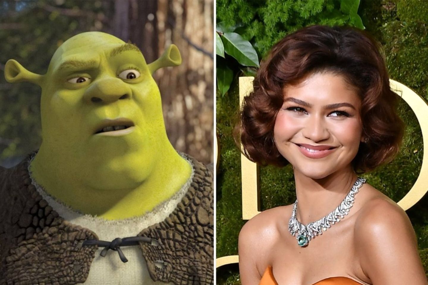 "Shrek 5": Diese Rolle übernimmt Zendaya | GALA.de