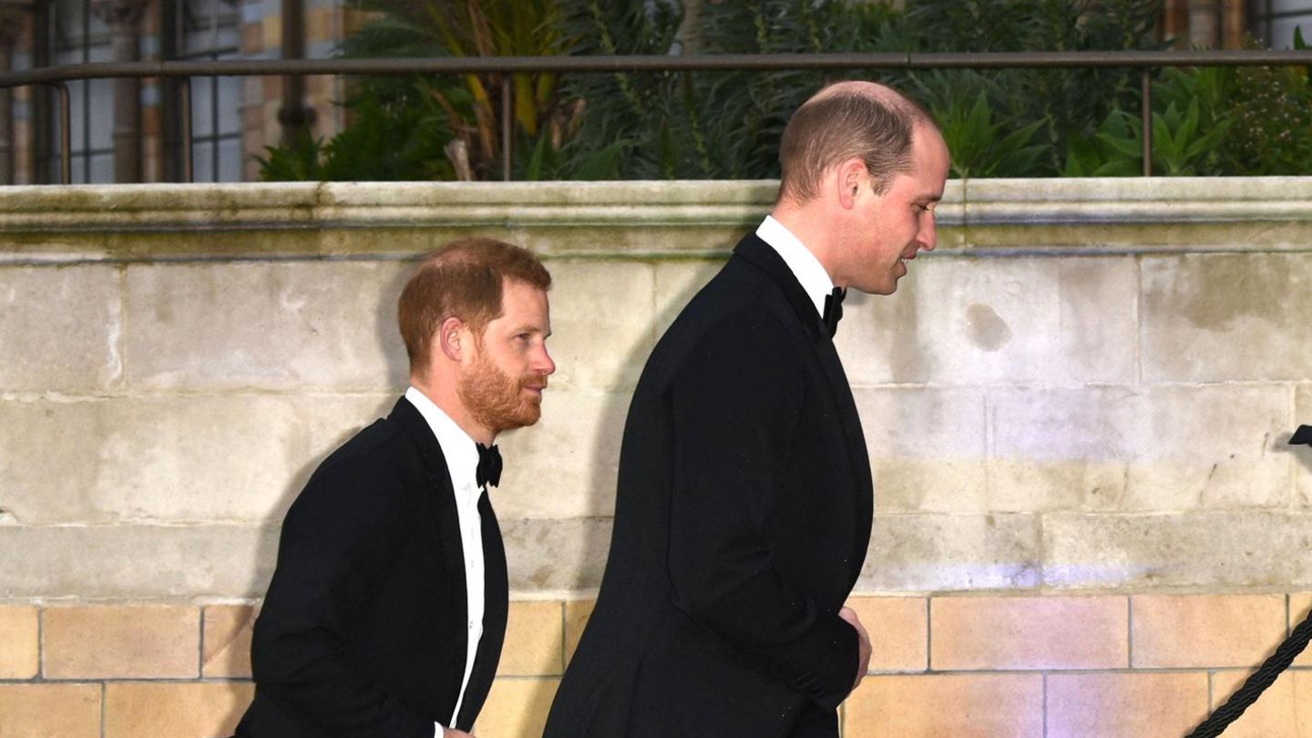 Prinz-William-Prinz-Williams-Freunde-schie-en-nach-brisantem-Interview-gegen-Harry