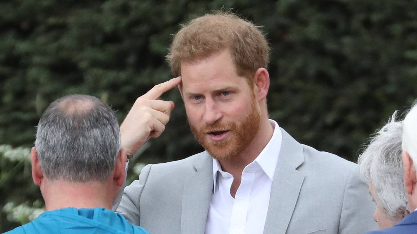 Prinz-Harry-Prinz-Harry-klopfte-an-fremden-Haust-ren