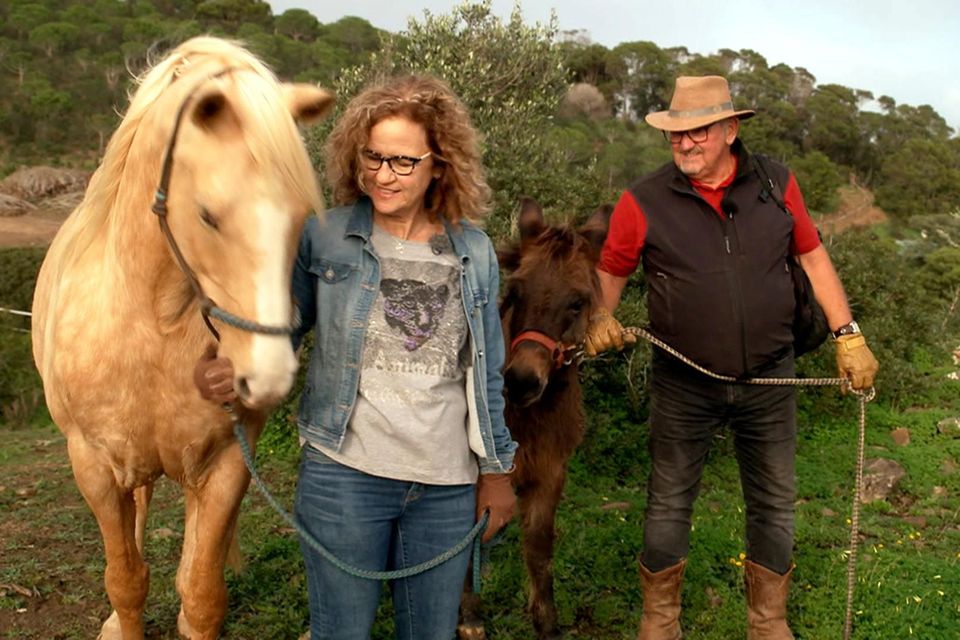 Anna und Olaf bei "Bauer sucht Frau International"