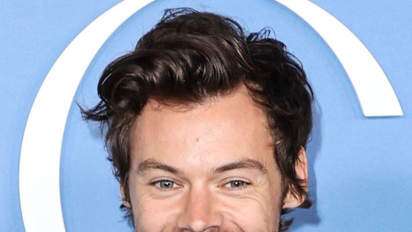 Harry Styles: Snger verkauft Vibrator und Gleitgel | GALA.de