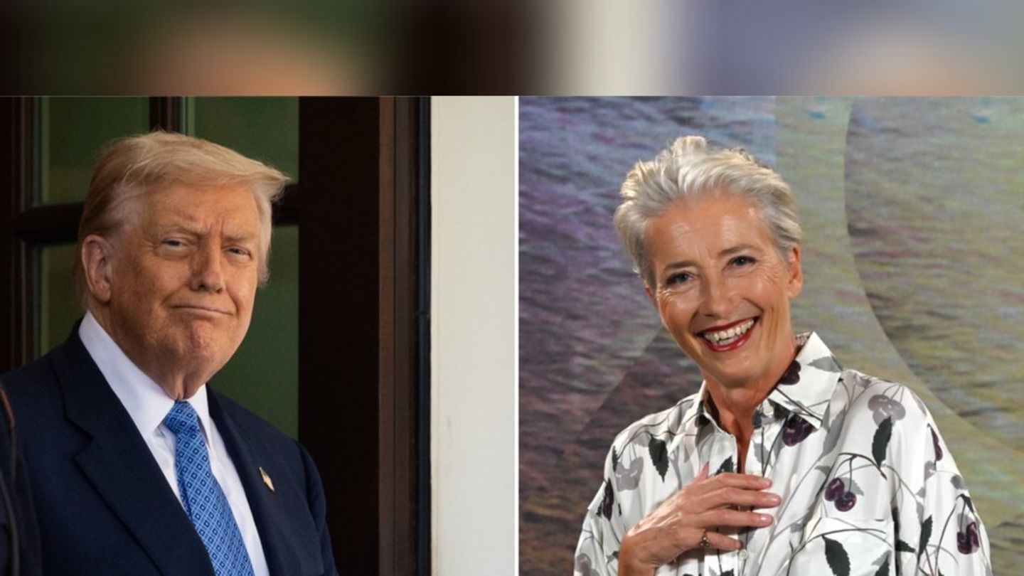 Donald-Trump-Diesen-Harry-Potter-Star-wollte-er-daten