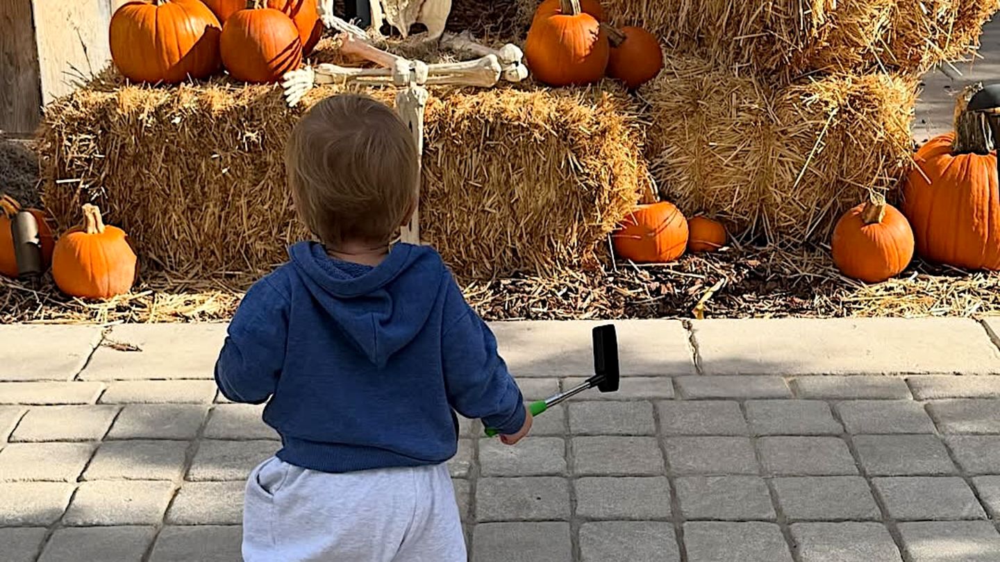K-rbisse-Spinnweben-Welcher-Star-Nachwuchs-ist-hier-schon-bereit-f-r-Halloween-