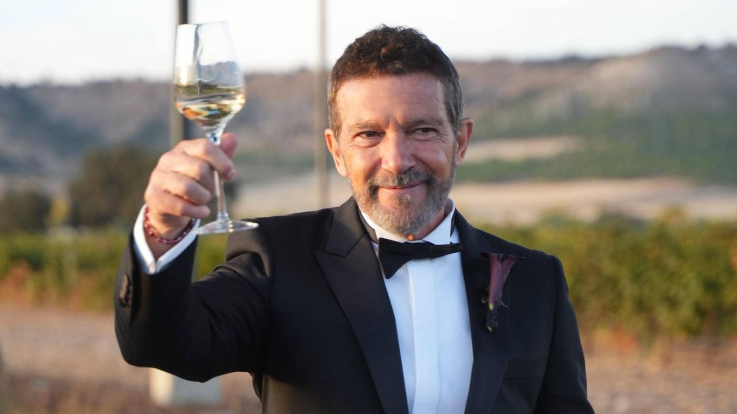 Antonio-Banderas-Melanie-Griffith-Prost-Tochter-Stella-hat-ihre-Jugendliebe-geheiratet