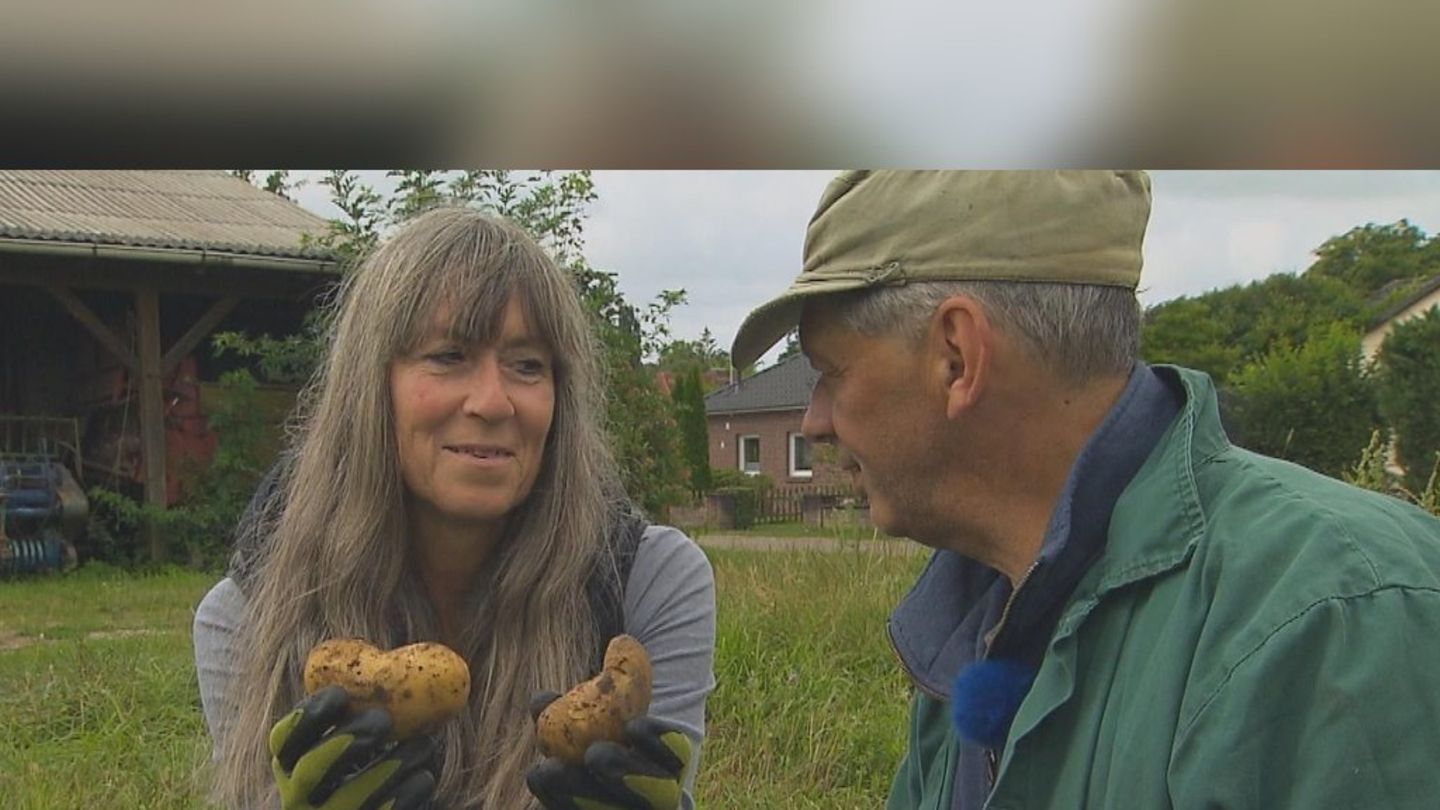 -Bauer-sucht-Frau-Ungew-hnlicher-Kuss-zu-Shaun-das-Schaf-