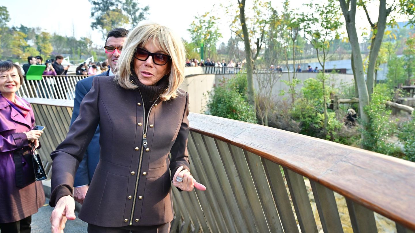 fashion-looks-hier-bekommen-die-pandab-ren-einen-schicken-style-zu-sehen