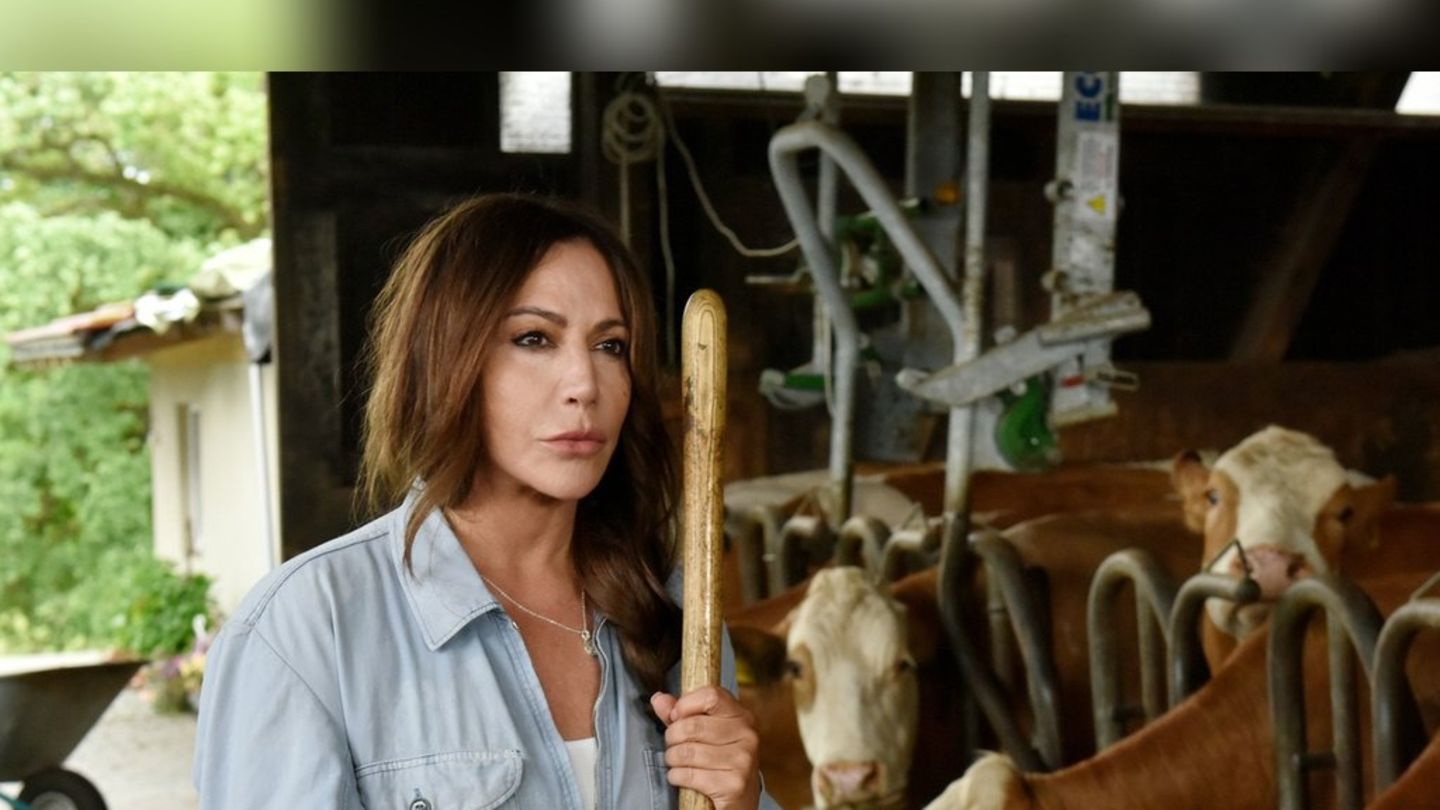 -fr-hling-geht-im-januar-weiter-herzkino-abenteuer-f-r-simone-thomalla