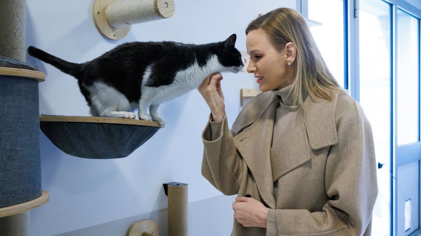 F-rstin-Charl-ne-Sie-berrascht-mit-neuer-Frisur-die-man-nur-u-erst-selten-an-ihr-sieht