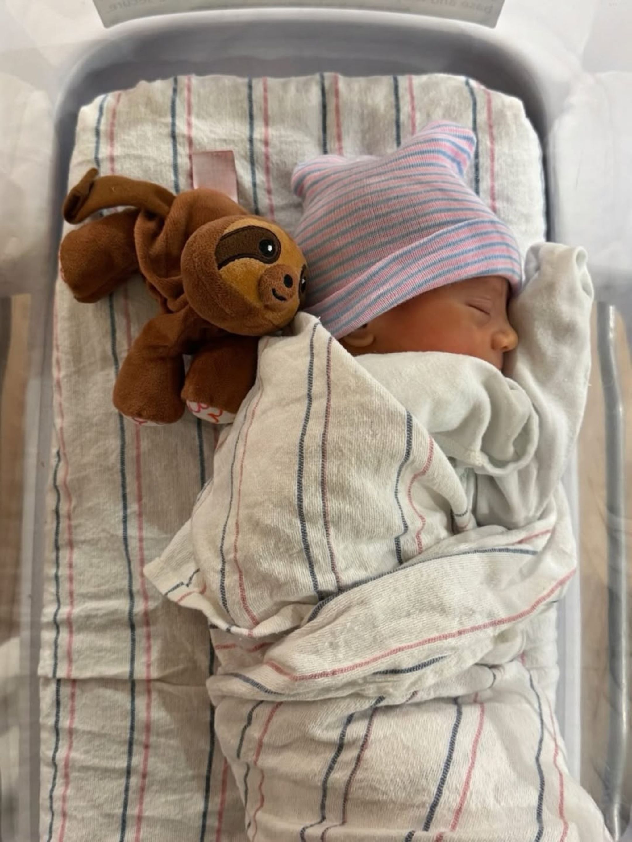 Anna Kournikova + Enrique Iglesias: Babyalarm! Ihre schönsten  Familienmomente | GALA.de