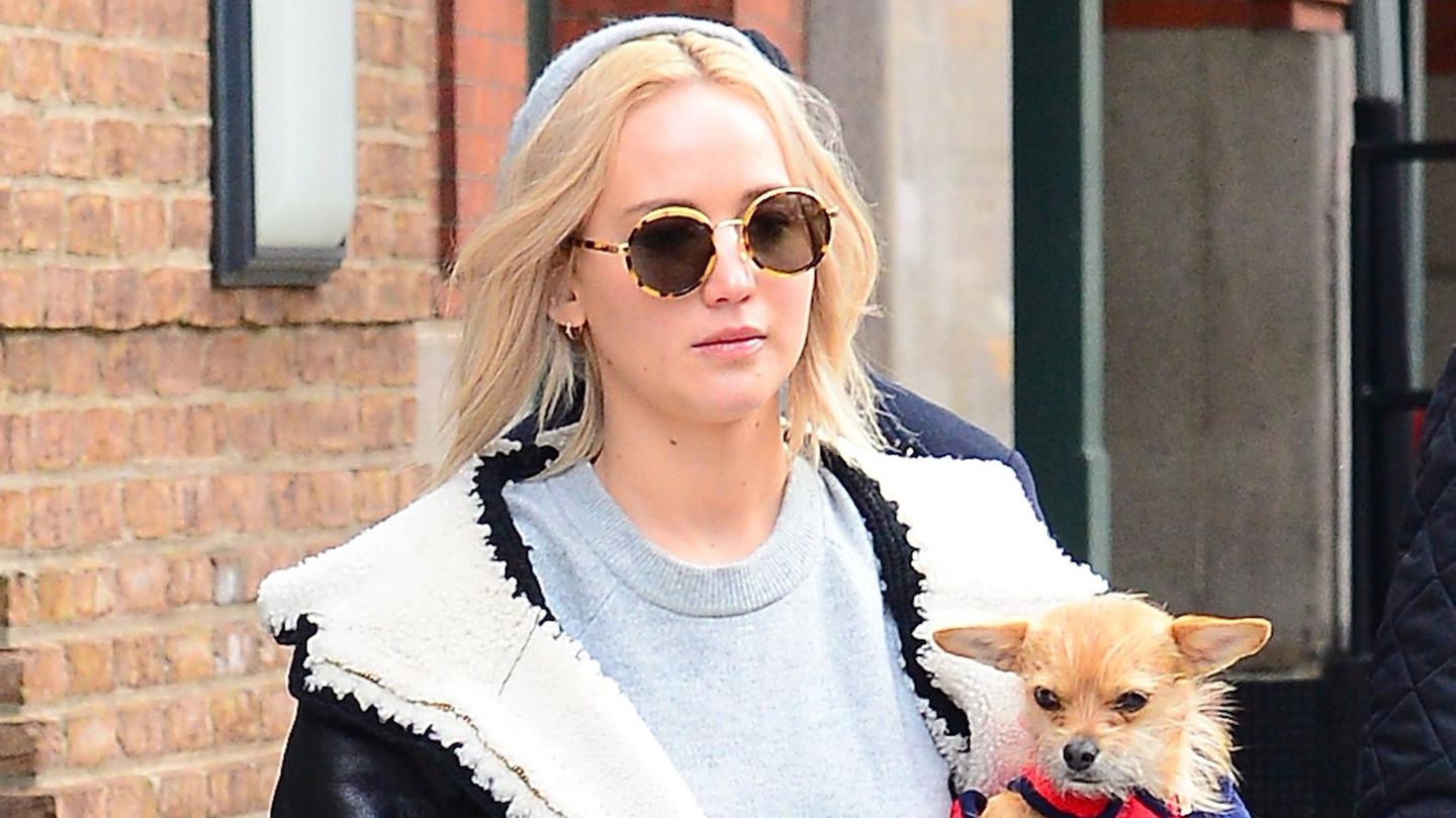 Jennifer-Lawrence-Ein-Hund-biss-ihr-Kind-Sie-gibt-ihren-eigenen-Vierbeiner-weg