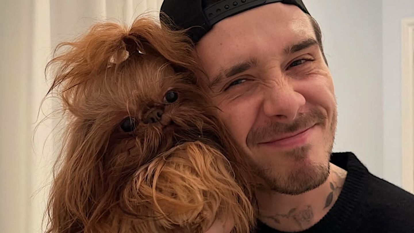 Hollywuff-Fellkn-uel-sind-die-besten-Tr-ster