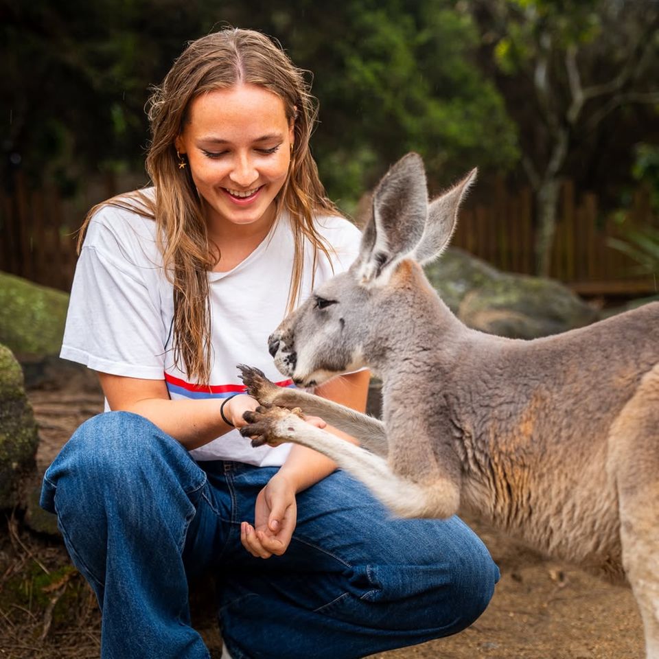Wie wir sehen können, hat sich Ingrid Alexandra während ihrer Zeit in Australien bereits mit der heimischen Tierwelt vertraut gemacht. In einem Nationalpark ging sie auf Tuchfühlung mit einem Känguru. 