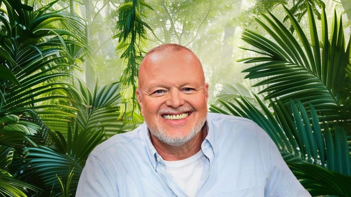 Dschungelcamp-Specials-Auch-Stefan-Raab-mischt-sich-ein