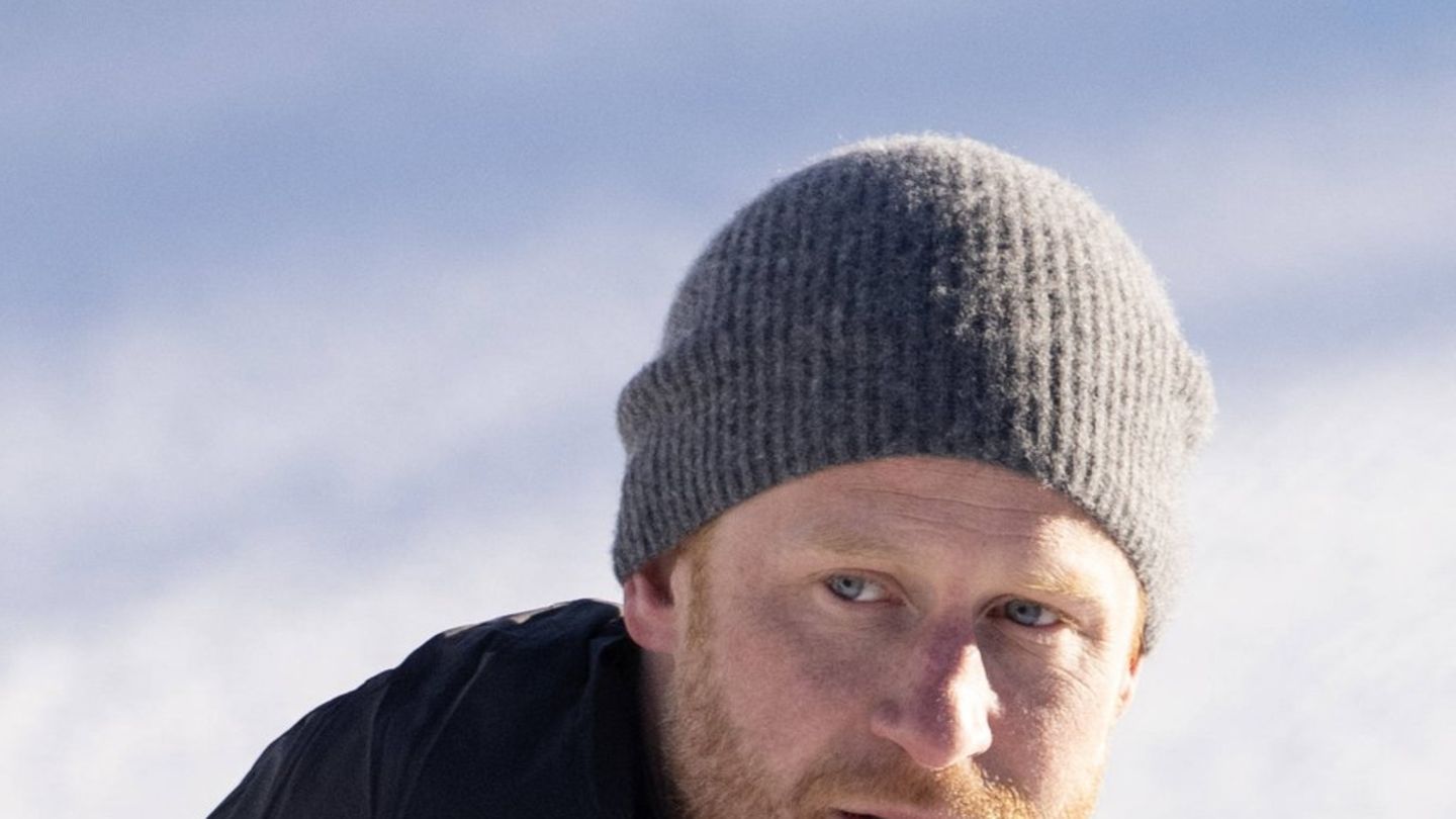 Prinz-Harry-Plant-er-mit-eigener-Firma-