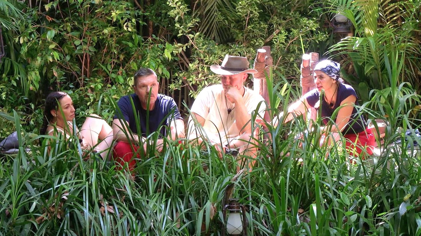 Dschungelcamp-2026-Es-ist-r-udig-Gr-ppchenbildung-im-Dschungel-und-L-stereien-gegen-Ariel