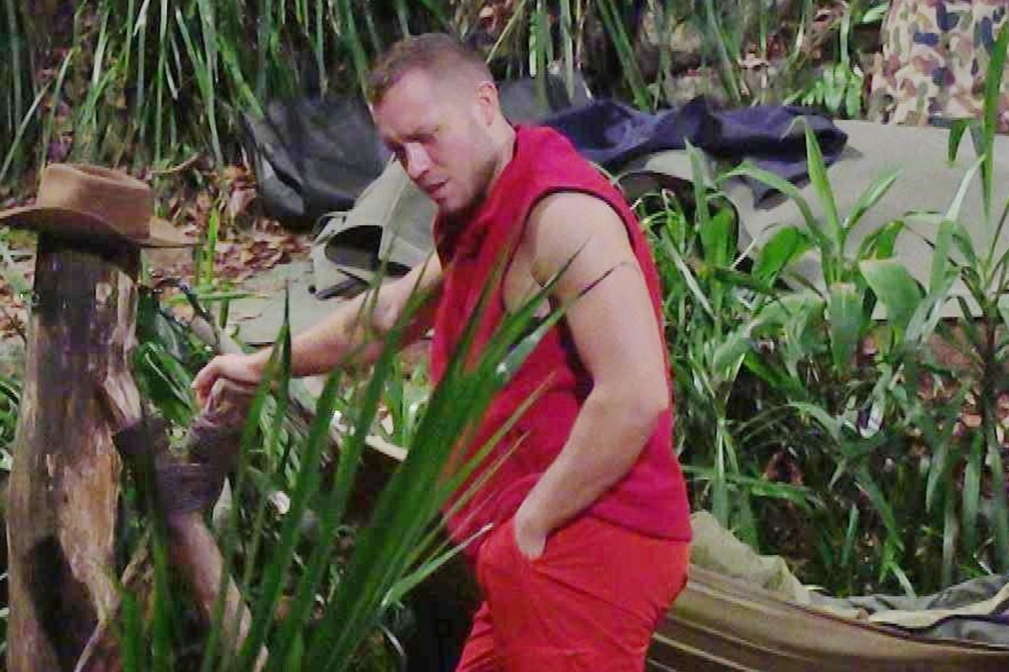 Patrich Romer im Dschungelcamp