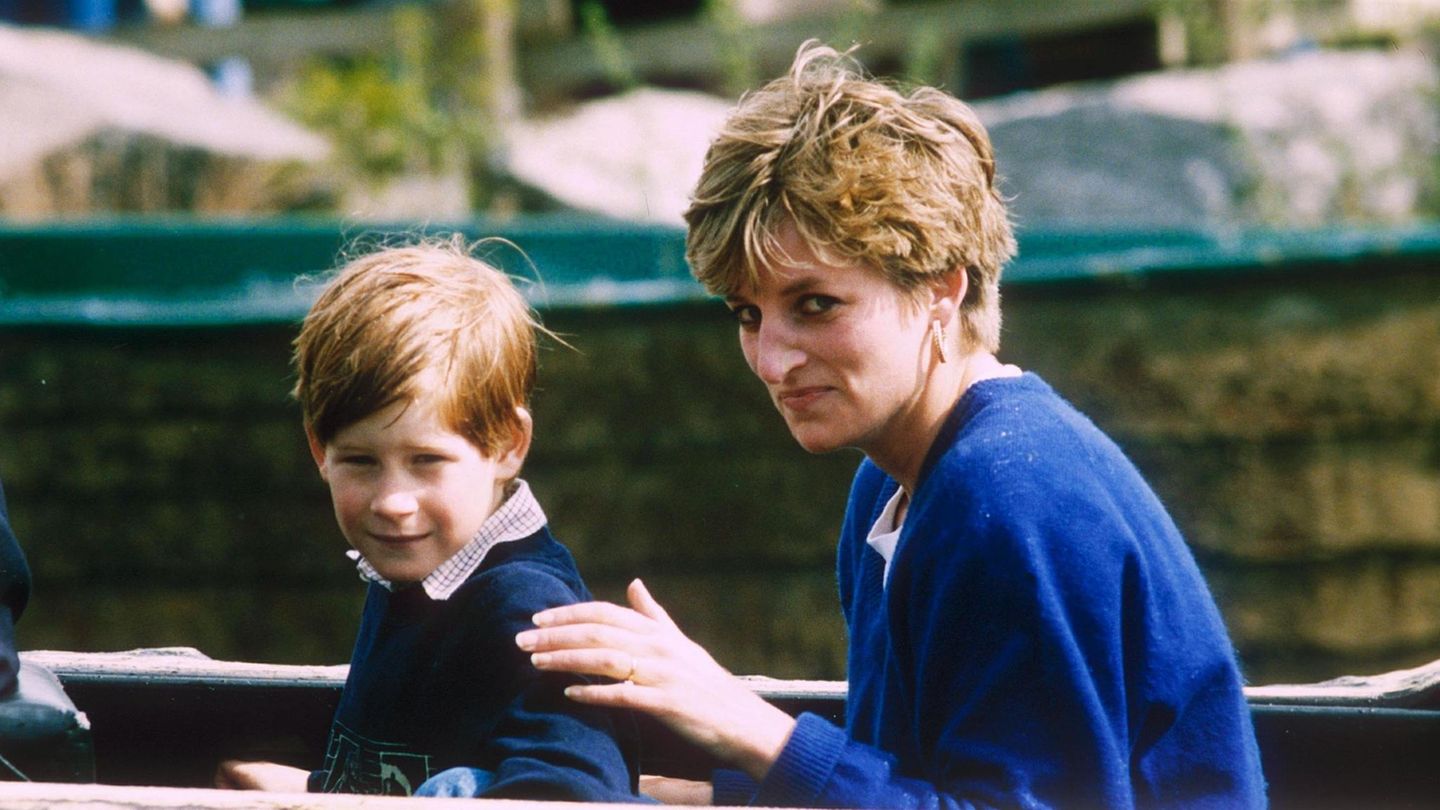 Prinz-Harry-Harry-spricht-in-neuem-Buch-von-Dianas-Erbe-meiner-zweiten-Heimat-