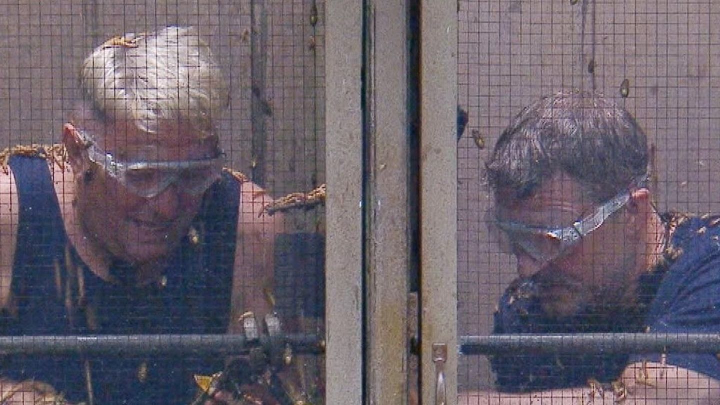 Zu-faul-im-Dschungelcamp-Das-empfiehlt-Dr-Bob-Hubert-und-Hardy