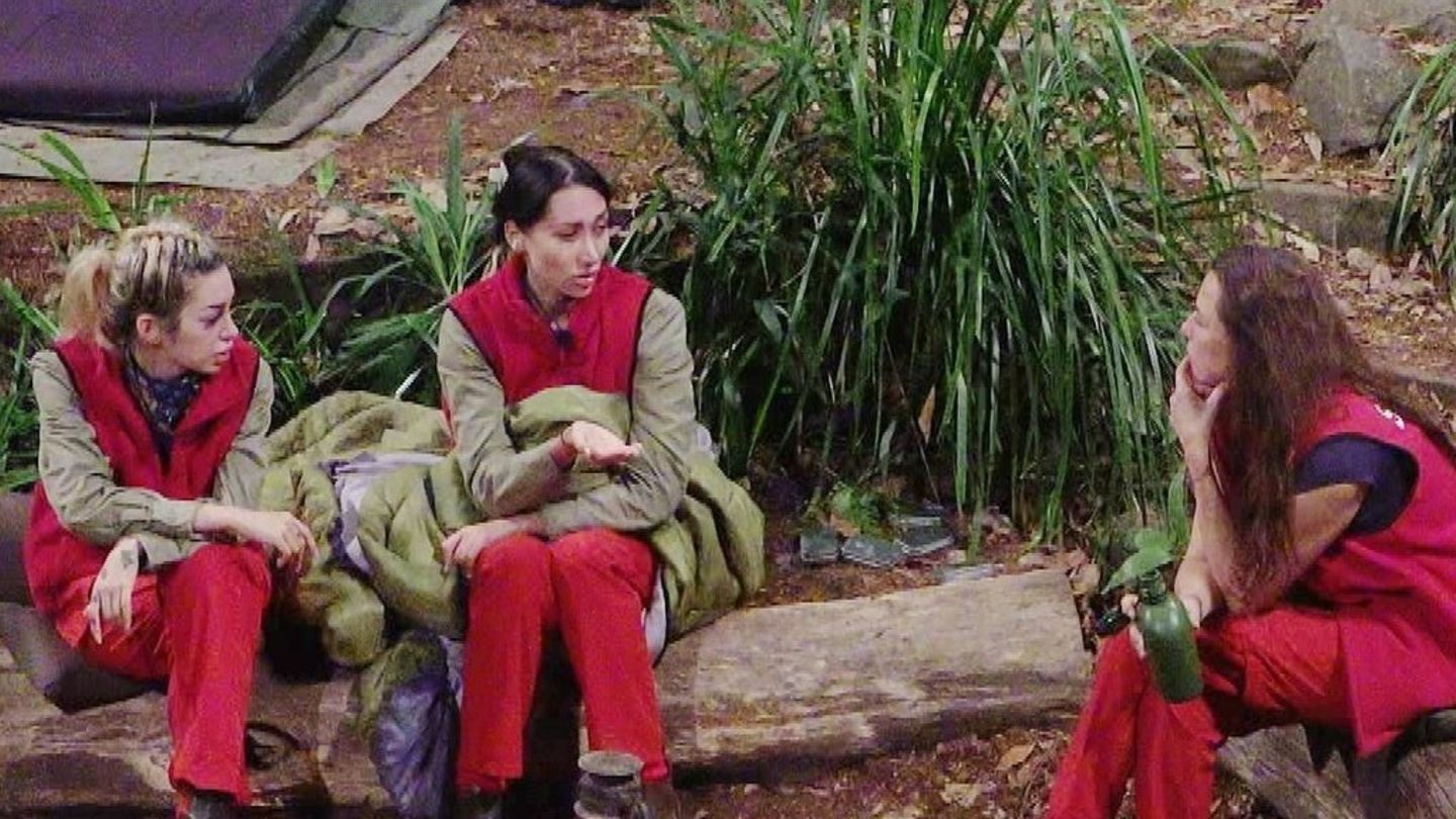 Dschungelcamp-Faule-Jugend-und-schuldige-Zuschauer