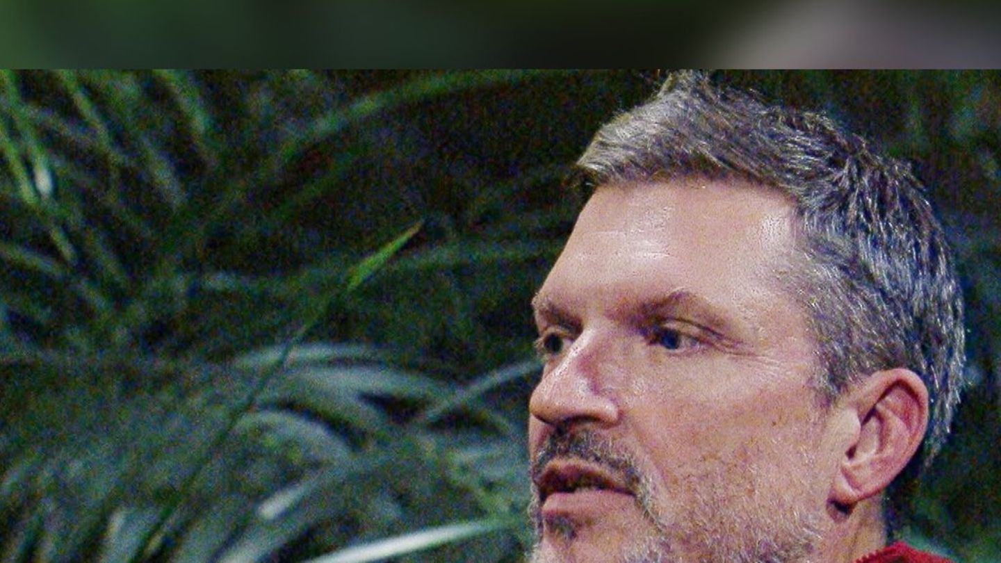 Hardy-Kr-ger-jr-nach-Dschungelcamp-Aus-Ein-Faultier-war-ich-bestimmt-nicht-