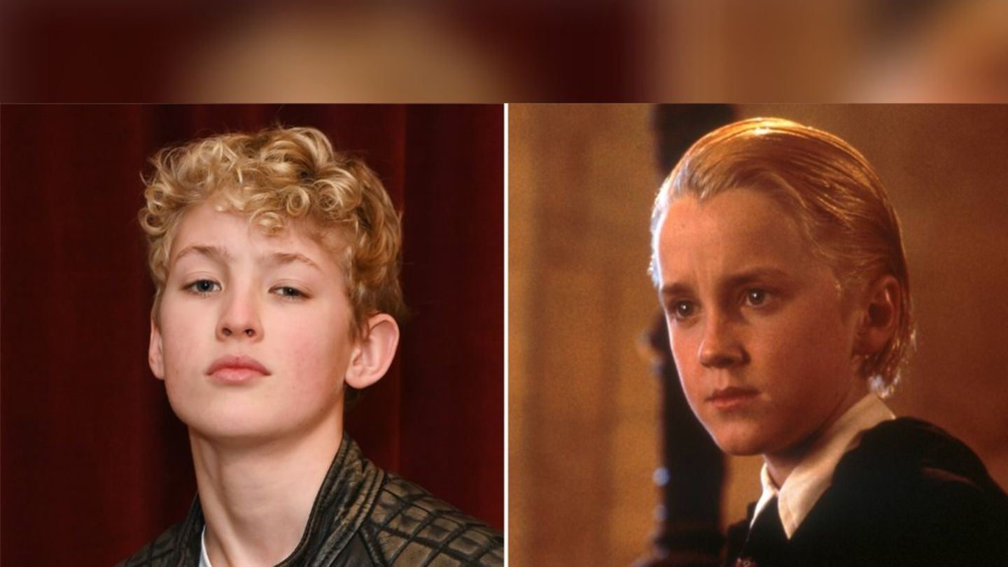 -Harry-Potter-Serie-Einblicke-in-Dracos-Privatleben