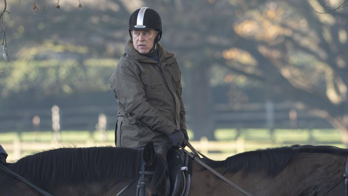 Andrew-Mountbatten-Windsor-Neue-Nachbarn-verw-nschen-lautstark-Ex-Prinz-Andrew-ins-Exil