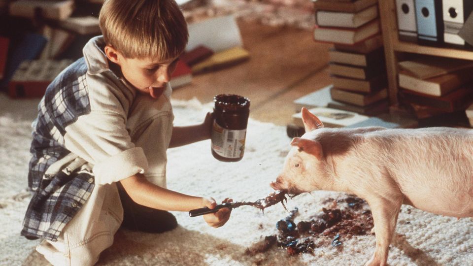 Константин фон Яшерофф в возрасте шести лет в кинофильме 'Ренншвайн Руди Рюссель'.