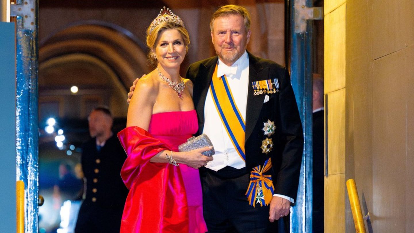 Königin Máxima: Sie glänzt beim Diplomaten-Empfang in Pink